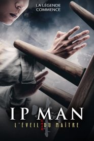Ip Man : L’Éveil du Maître