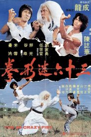 Les 36 poings vengeurs de Shaolin
